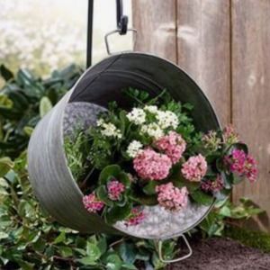 Meet your Posher, Callie